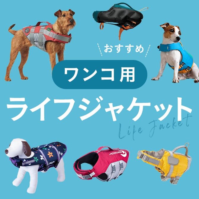 【最新犬用ライフジャケット15選】プールや海・川遊びにおすすめな犬用ライフジャケット