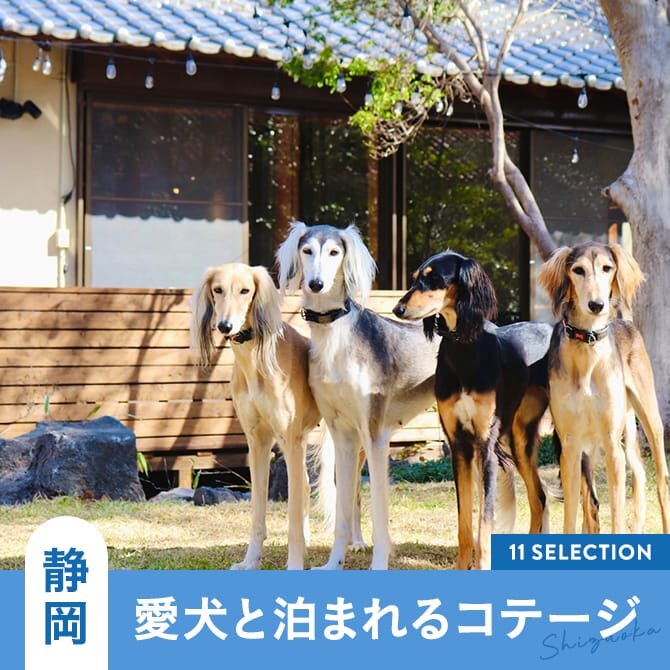 【静岡の犬と泊まれるコテージ】ペット可・人気ドッグラン付きコテージも