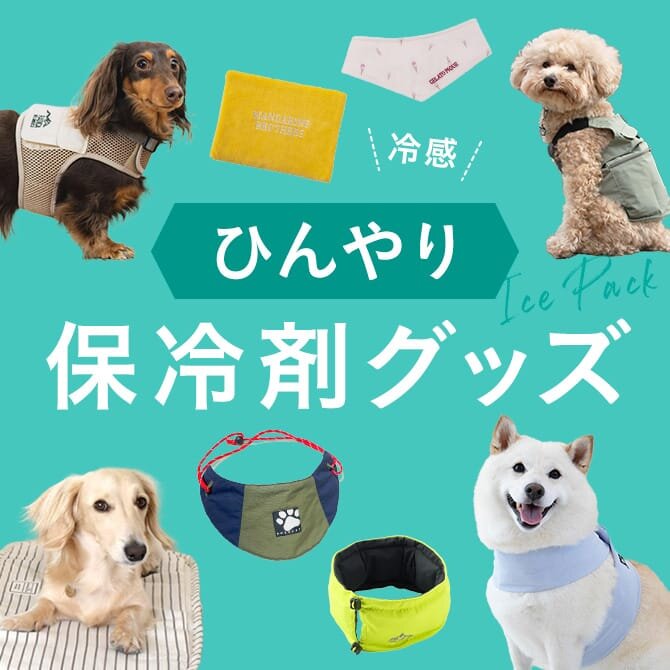 犬の熱中症対策｜保冷剤で冷たく過ごせる夏の犬用グッズ