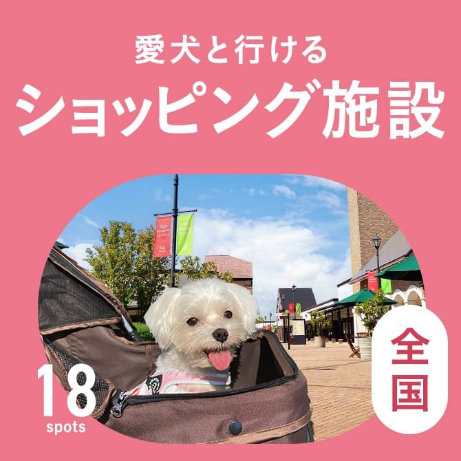 【犬連れOKなショッピングモール】犬同伴OK・ペット連れOKのショッピング施設｜関東版