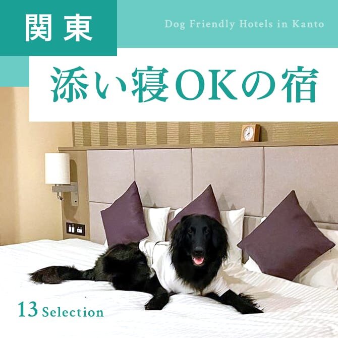 【関東】愛犬と添い寝OKのペットと泊まれる宿