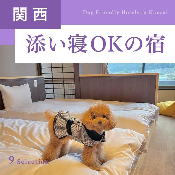 【関西】愛犬と添い寝OKのペットと泊まれる宿