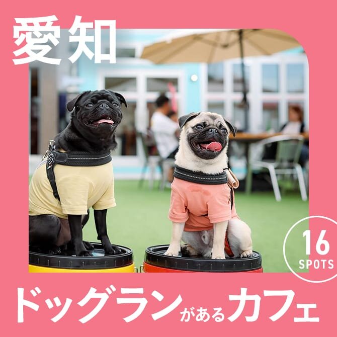 【愛知】ドッグラン付きカフェ16選