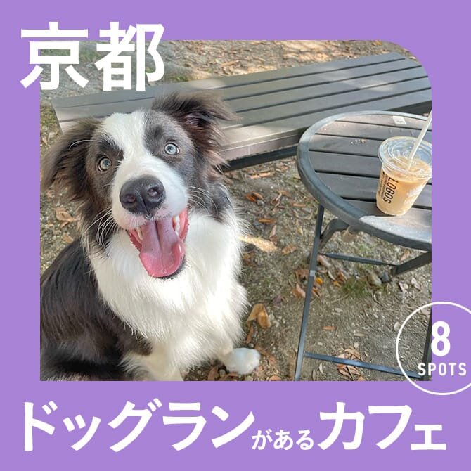 【京都】ドッグラン付きカフェ8選