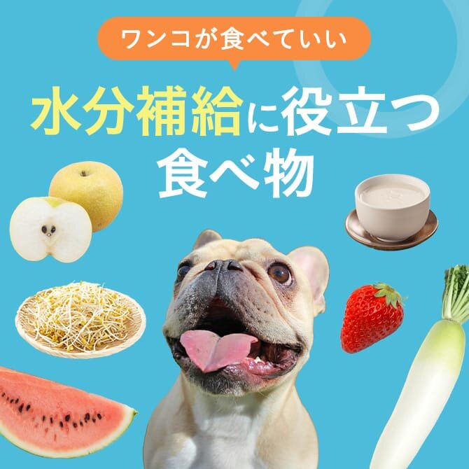 【犬が食べられる水分の多い食材】水分補給・夏バテ対策