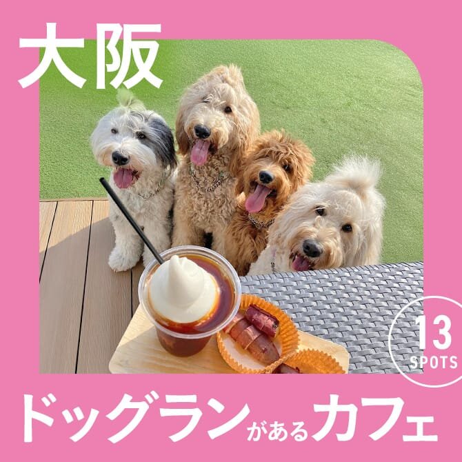 【大阪】ドッグラン付きカフェ13選