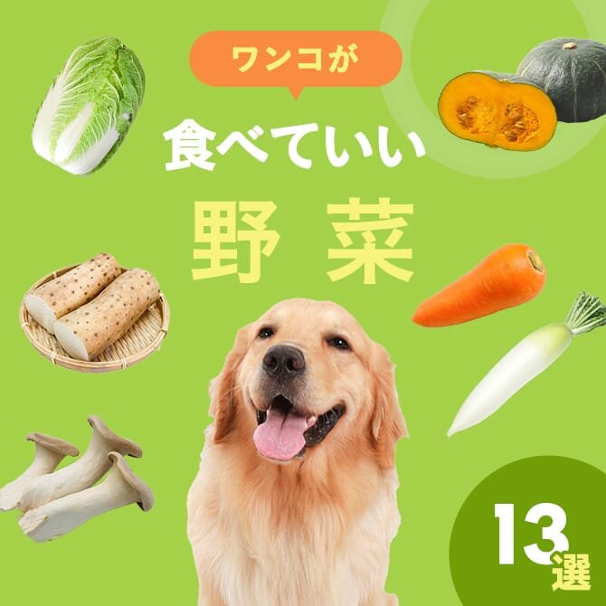 犬が食べられる野菜まとめ一覧