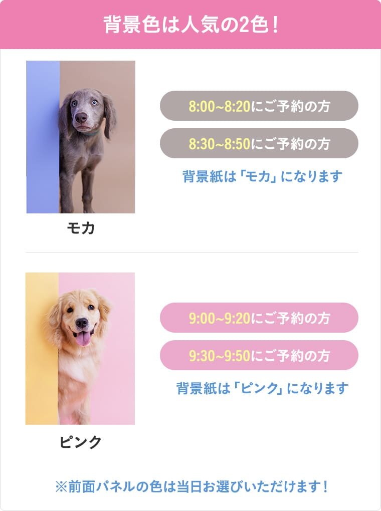 背景色は人気の2色!8:00〜8:20,8:30〜8:50にご予約の方は背景紙はモカになります。9:00〜9:20,9:30〜9:50にご予約の方は背景紙はピンクになります。