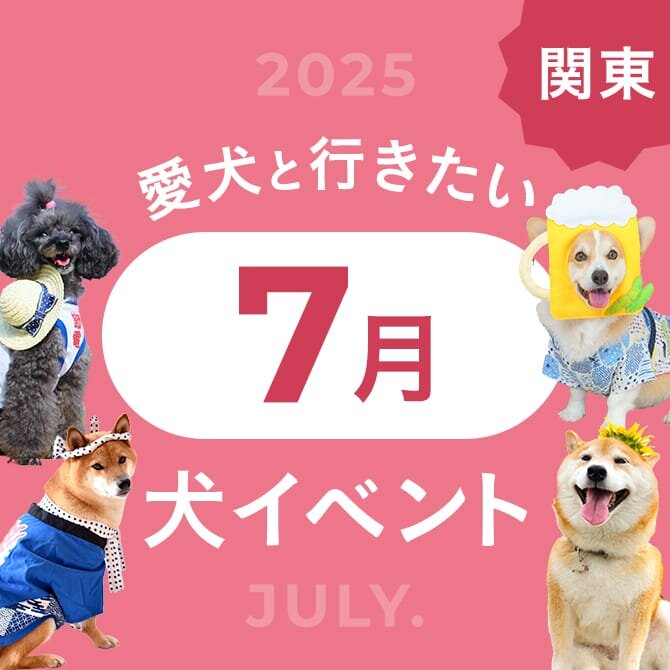 【2025年7月】関東で愛犬と行きたいドッグイベント8選