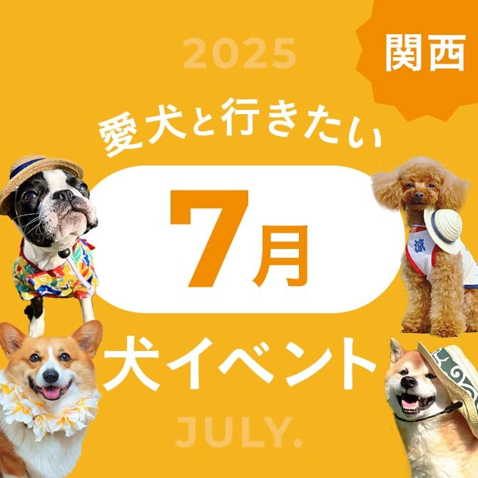 【2025年7月】関西で愛犬と行きたいドッグイベント7選