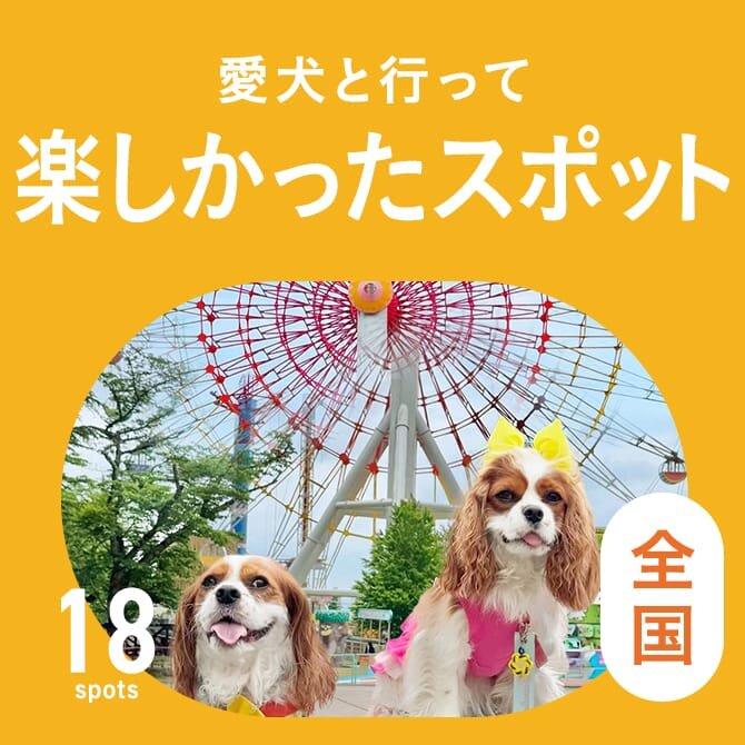 【人気の犬連れおでかけスポット決定版！】飼い主さんが選んだ愛犬といって本当に楽しかったスポット