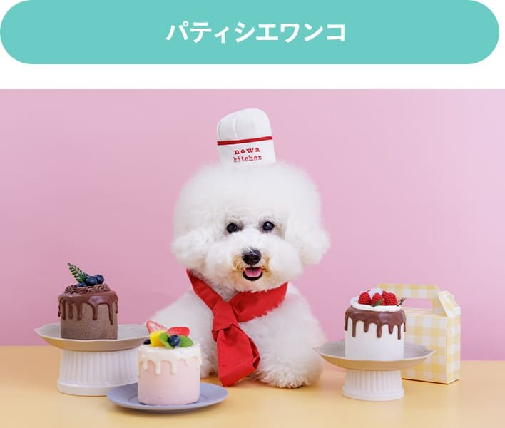 パティシエワンコ