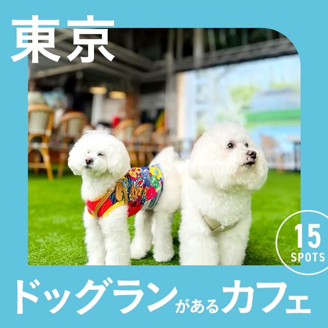 【東京】ドッグラン付きカフェ15選