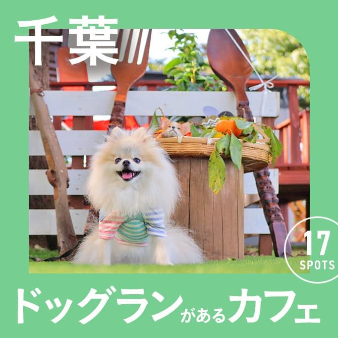 【千葉】ドッグラン付きカフェ17選