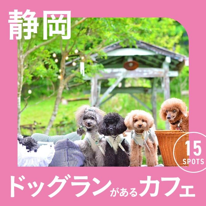 【静岡】ドッグラン付きカフェ15選