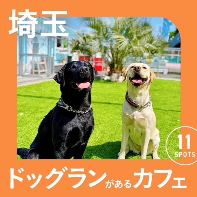 【埼玉】ドッグラン付きカフェ11選