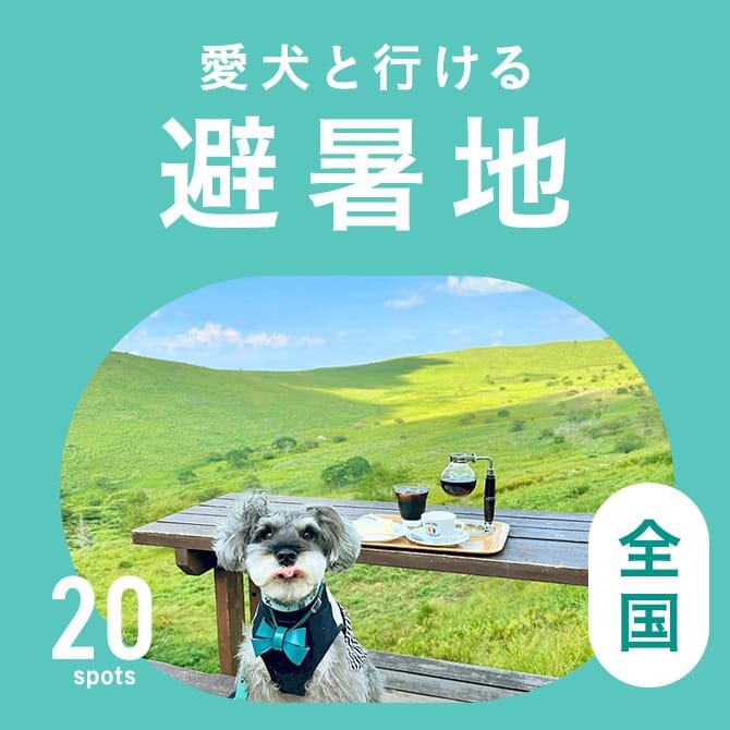 おすすめ避暑地おでかけスポット20選｜犬連れOK