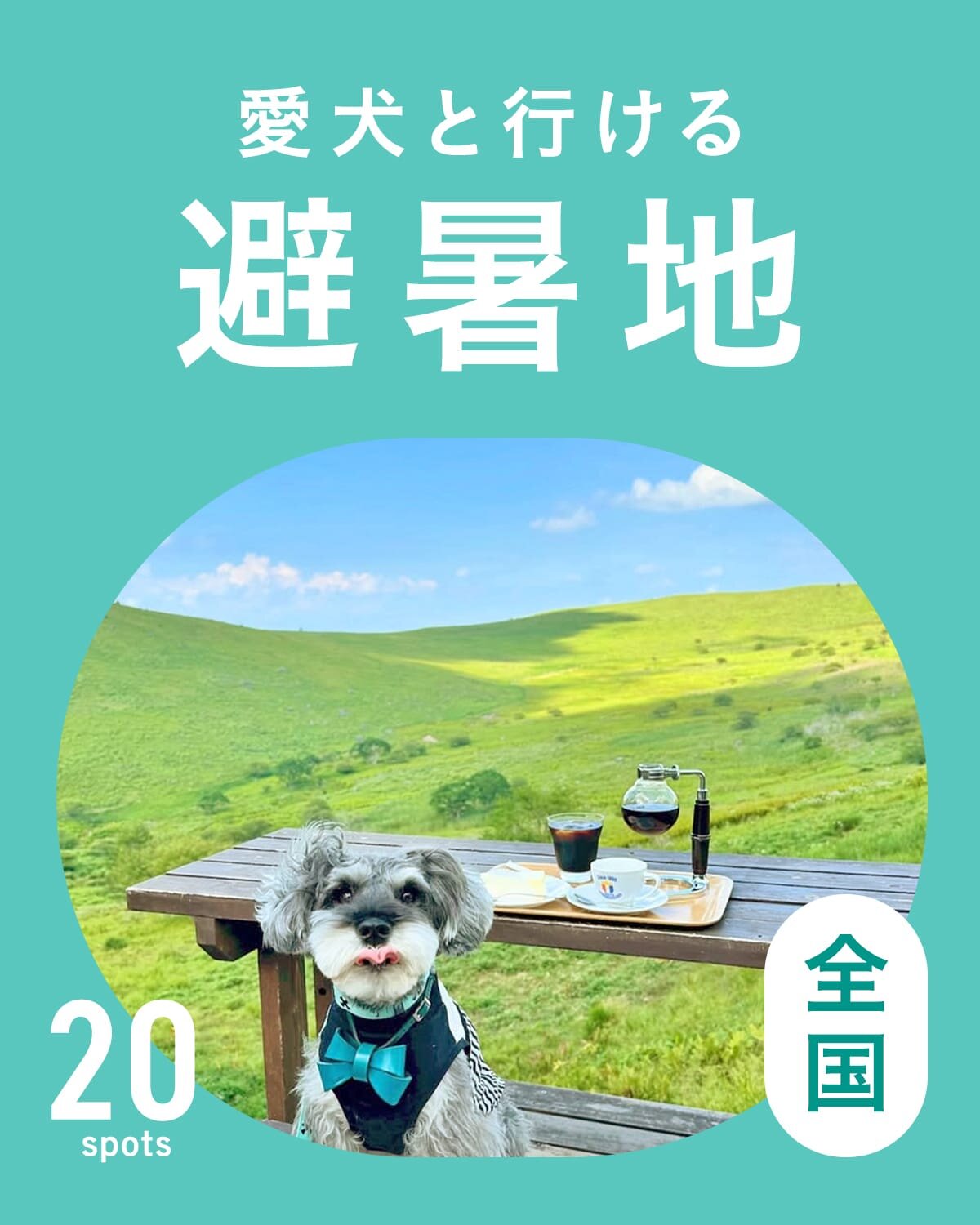 おすすめ避暑地おでかけスポット20選｜犬連れOK