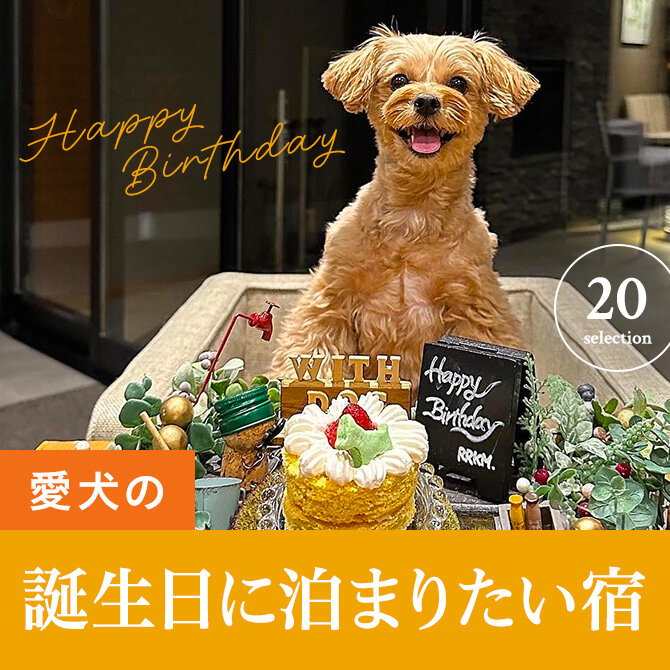 愛犬の誕生日に泊まりたい宿・ペットの記念日におすすめの宿
