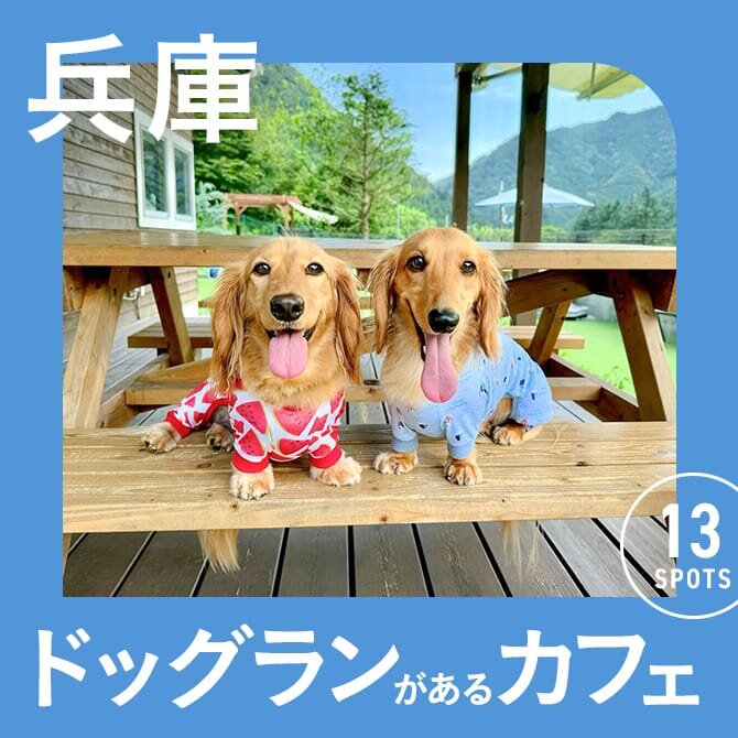 【兵庫】ドッグラン付きカフェ13選