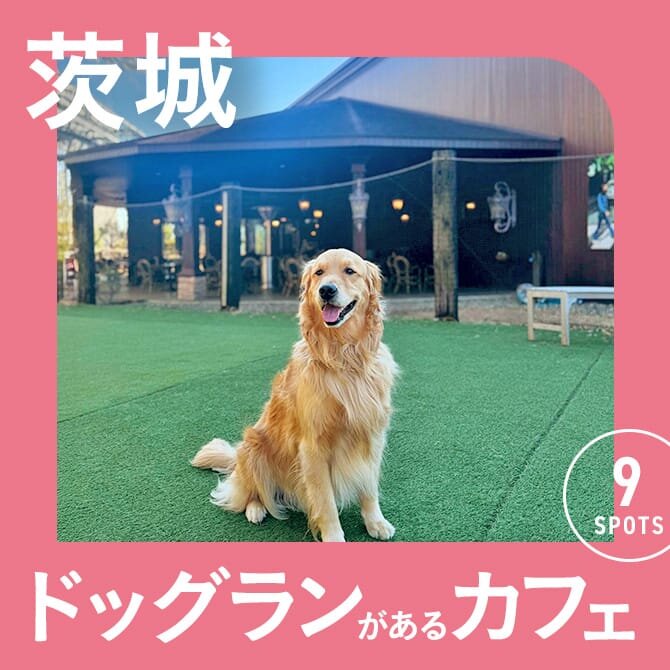 【茨城】ドッグラン付きカフェ9選