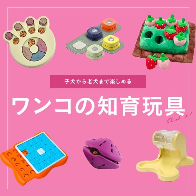【犬の知育玩具】犬の知育おもちゃおすすめ15選！ノーズワークで脳を活性化！