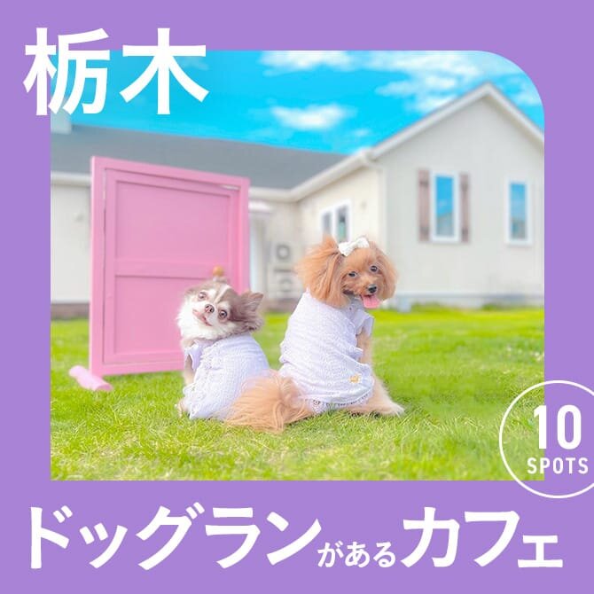 【栃木】ドッグラン付きカフェ10選