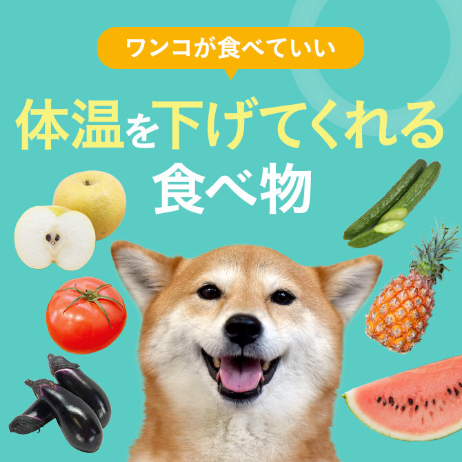 愛犬が食べられる熱を下げる陰性の食材｜夏バテ対策