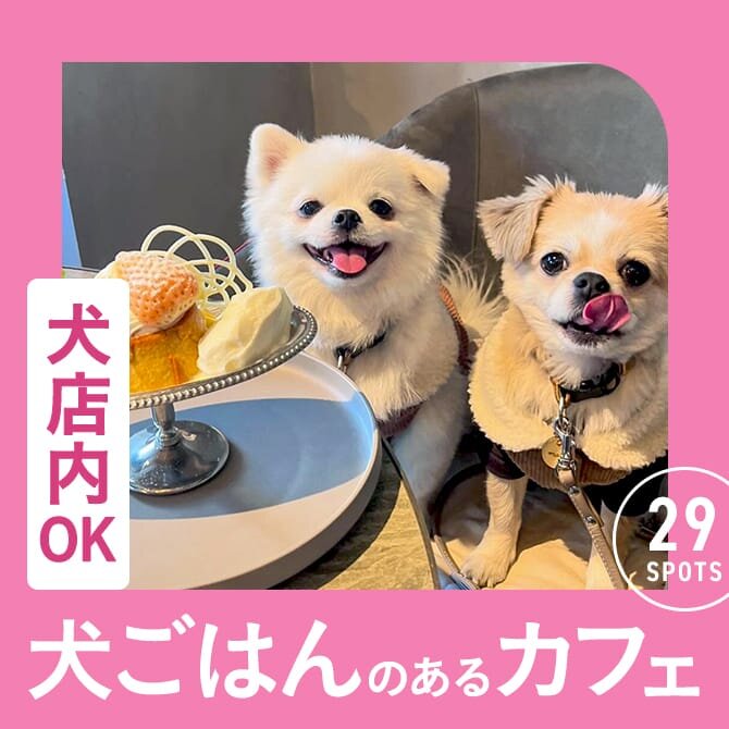 愛犬店内同伴OK・犬ご飯のあるカフェ29選