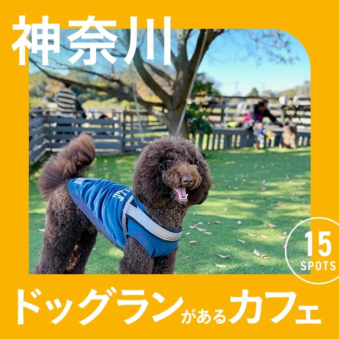 【神奈川】ドッグラン付きカフェ15選