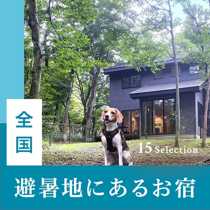 【避暑地のペットと泊まれる宿】真夏や残暑におすすめ！愛犬と涼める犬と泊まれる宿