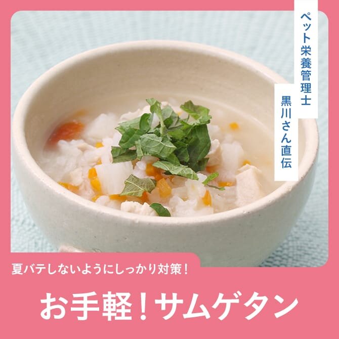 【夏バテ予防の薬膳レシピ】愛犬のため「お手軽参鶏湯」