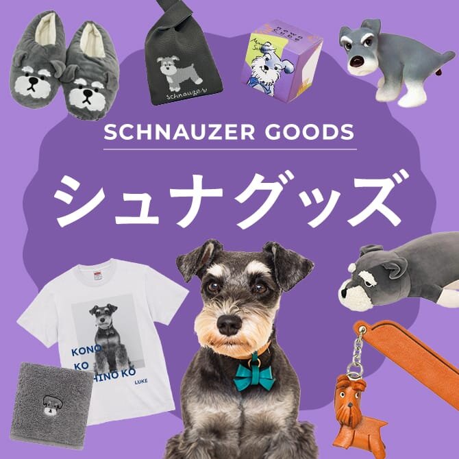 【シュナウザーグッズ15選】プレゼントにもおすすめな人気のシュナウザーグッズ