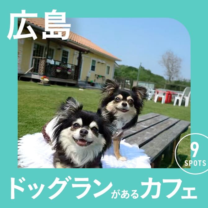 【広島】ドッグラン付きカフェ9選