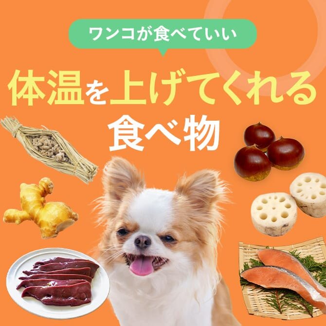 愛犬が食べられる熱をあげる食材まとめ一覧