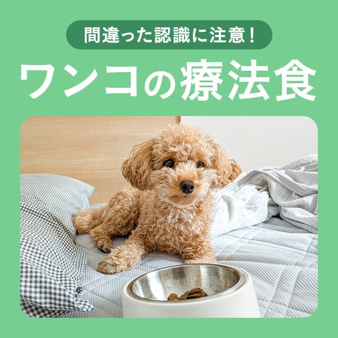 【犬の療法食】療法食 ドッグフードの違い知ってる？犬の食事療法食は個人判断で購入してもいい？間違った認識に注意！