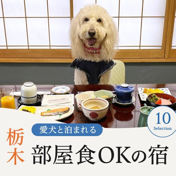 【栃木のペットと部屋食ができる宿】愛犬と部屋食OKの犬と泊まれる宿