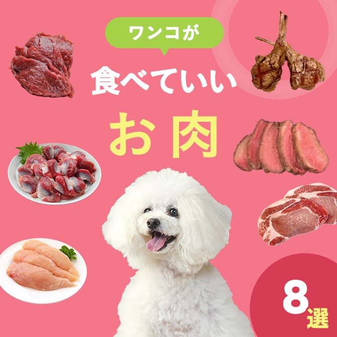 愛犬が食べられる肉の種類まとめ一覧