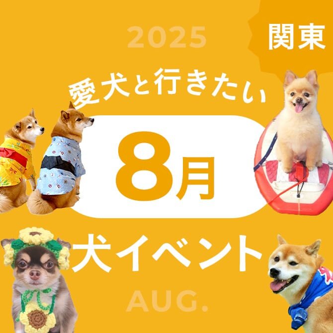 【2025年8月】関東で愛犬と行きたいドッグイベント16選
