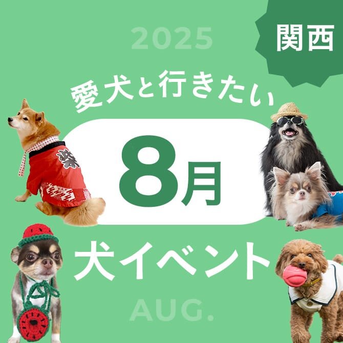 【2025年8月】関西で愛犬と行きたいドッグイベント7選