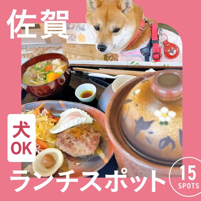 【佐賀】犬連れでランチができるお店15選。ペット可・店内犬同伴OKカ