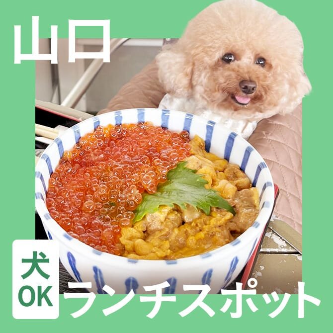 【山口】犬連れでランチができるお店15選。ペット可・店内犬同伴OKカフェ。