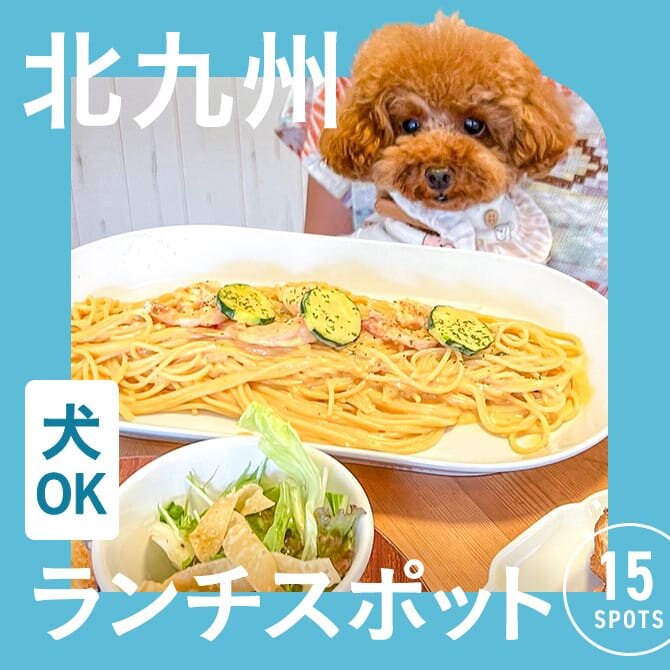 【北九州（福岡）】犬連れでランチができるお店15選。ペット可・店内犬同伴OKカフェ。