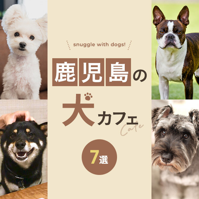 【鹿児島の犬と触れ合えるカフェ7選】犬カフェなど鹿児島で犬と触れ合えるカフェ