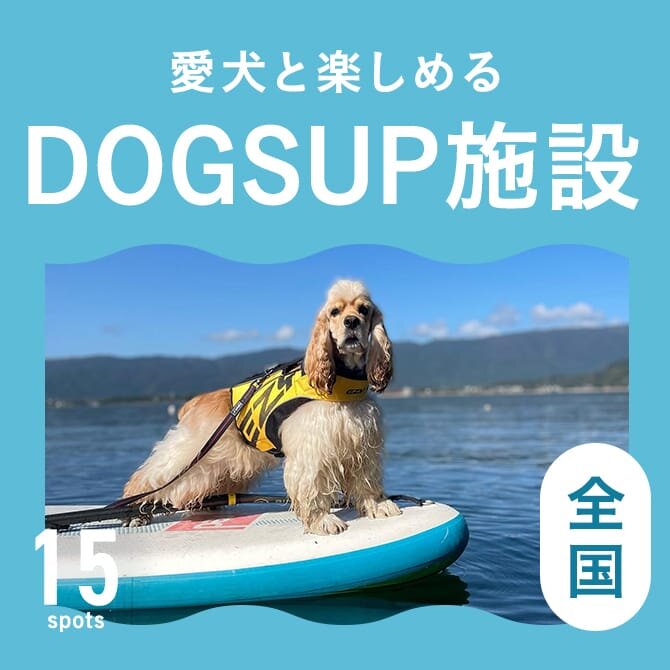 愛犬と行けるDOG SUP（ドッグサップ）施設まとめ一覧