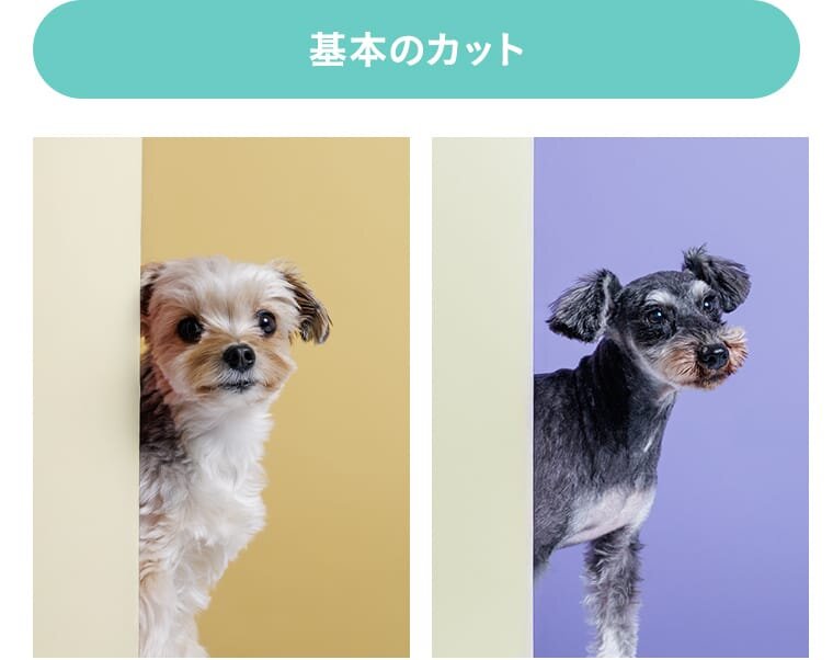 基本のカット
