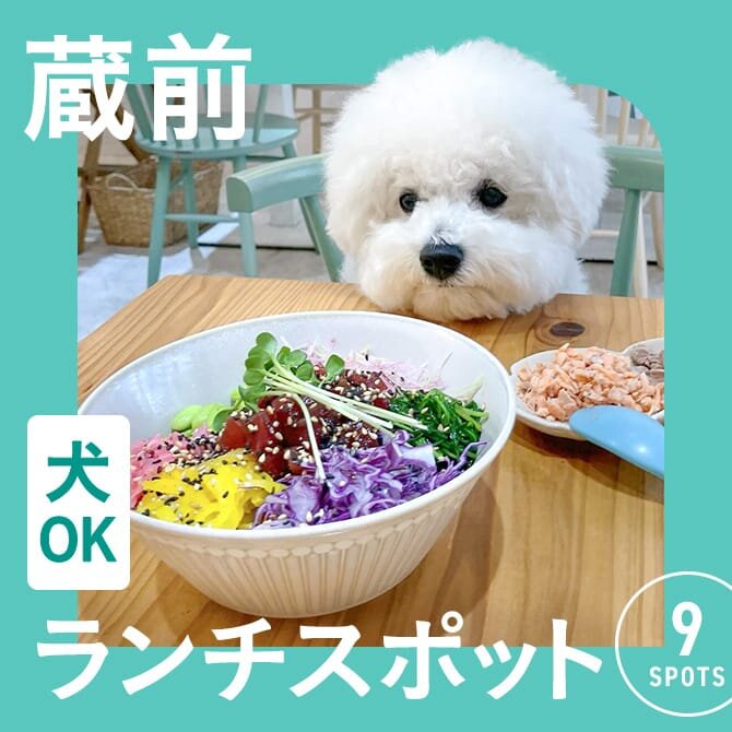 【蔵前・犬連れランチまとめ】蔵前エリアの愛犬と行けるカフェ・レストラン