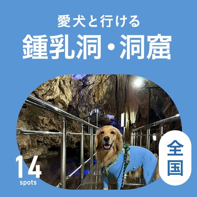 愛犬と行ける鍾乳洞・洞窟まとめ一覧｜夏の避暑地おでかけスポット