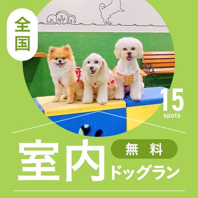 全国の無料室内ドッグランまとめ一覧