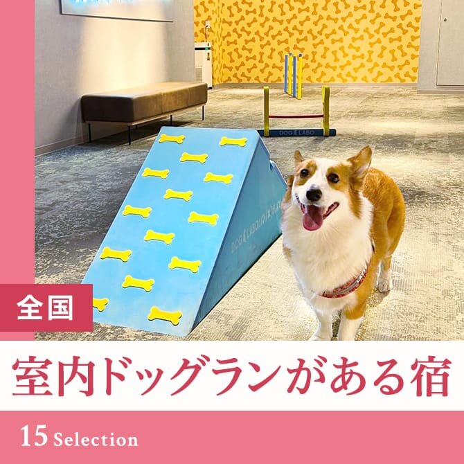 室内ドッグランのあるペットと泊まれる宿｜室内ドッグラン付きの宿